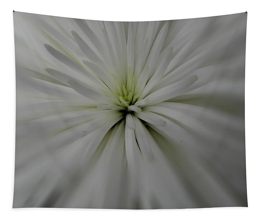 White Flower Tapestry featuring the photograph White Glow by Kim Galluzzo