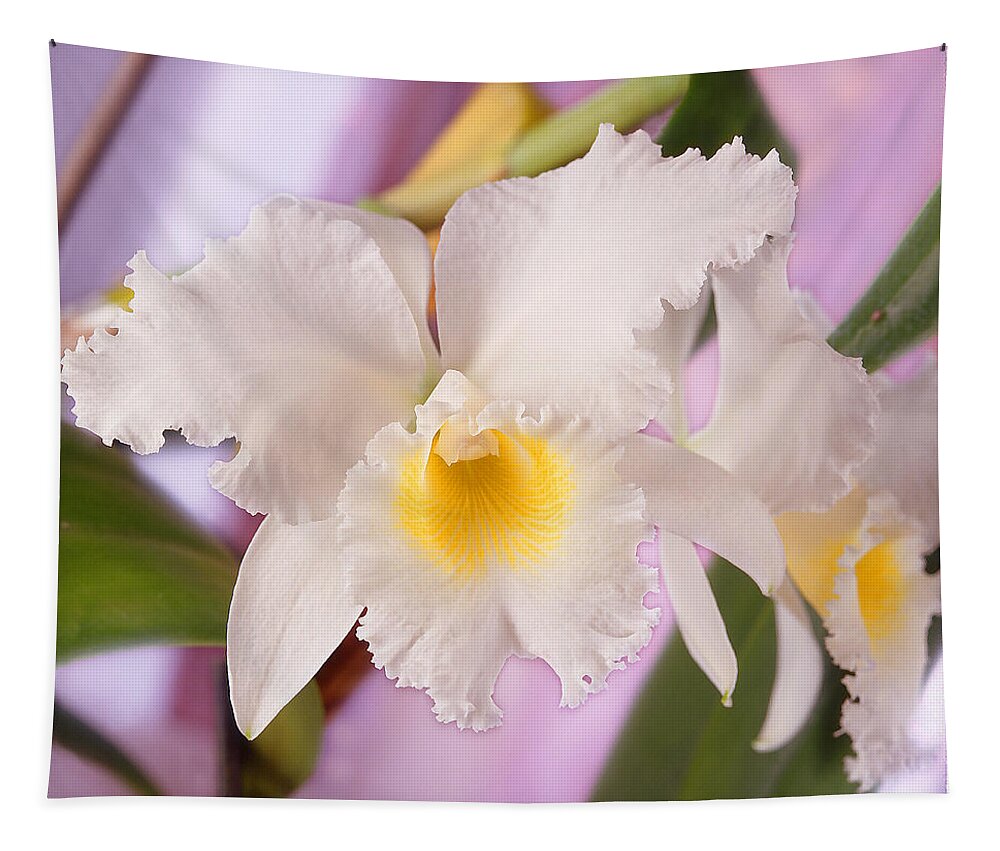 White Flower Tapestry featuring the photograph White Orchid by Mike McGlothlen