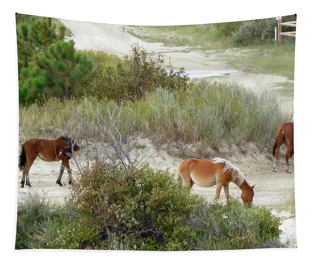 Wild Tapestry featuring the photograph Wild Spanish Mustangs of the Outer Banks of North Carolina by Kim Galluzzo Wozniak