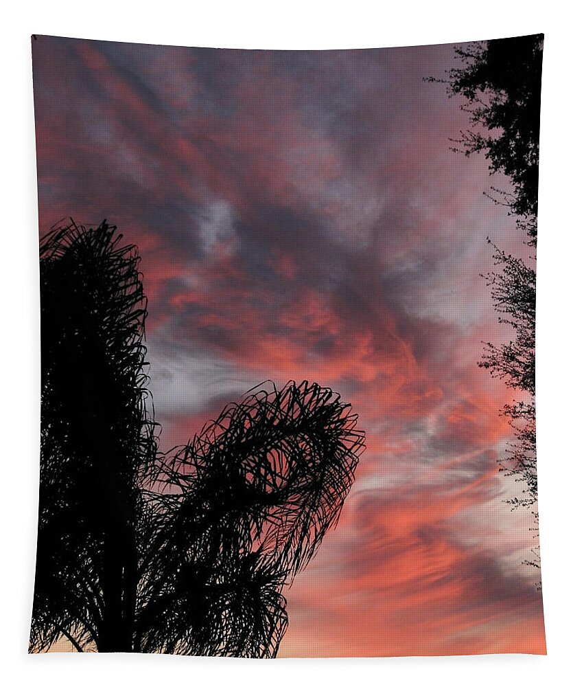 Nature Tapestry featuring the photograph Windswept Clouds by Peggy Urban