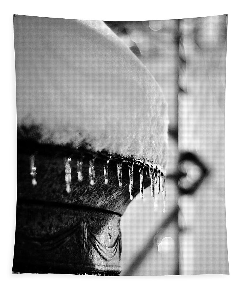 Icicles Tapestry featuring the photograph Winter Love by Rebecca Sherman