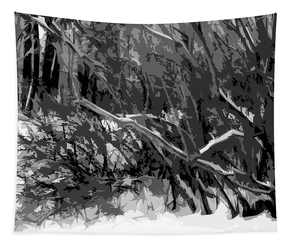 B&w Tapestry featuring the photograph Winterworks by Burney Lieberman