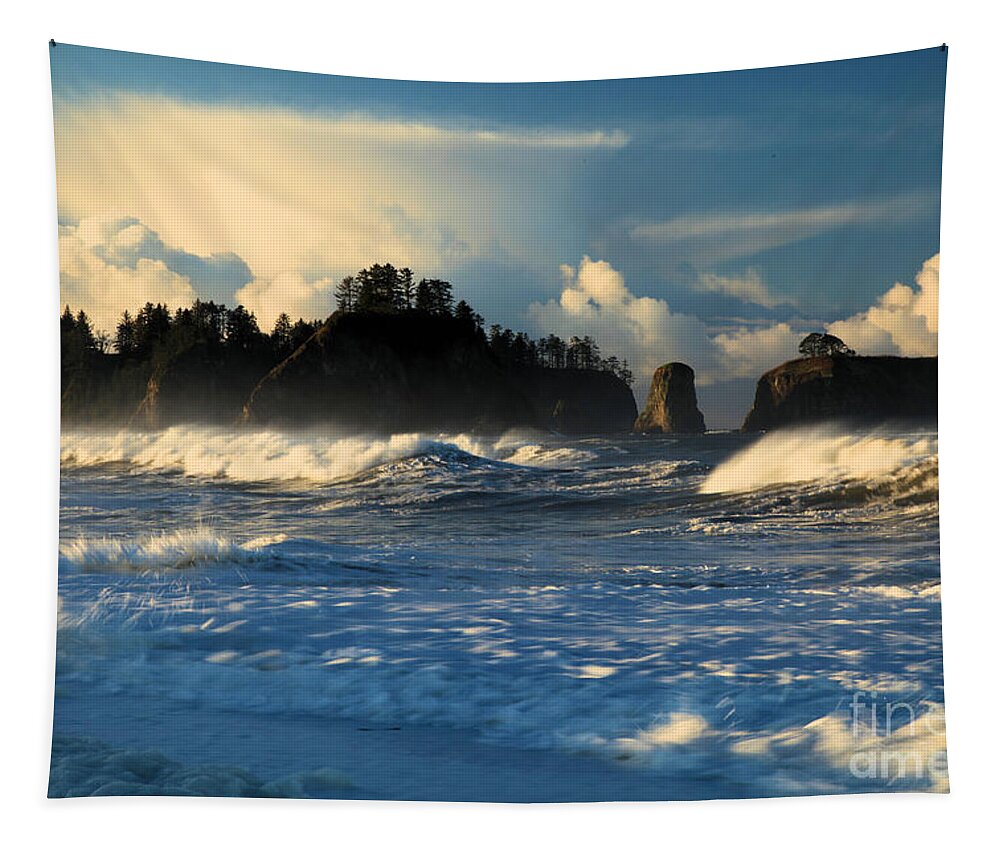 Rialto Beach Tapestry featuring the photograph Wispy Waves At Rialto Beach by Adam Jewell