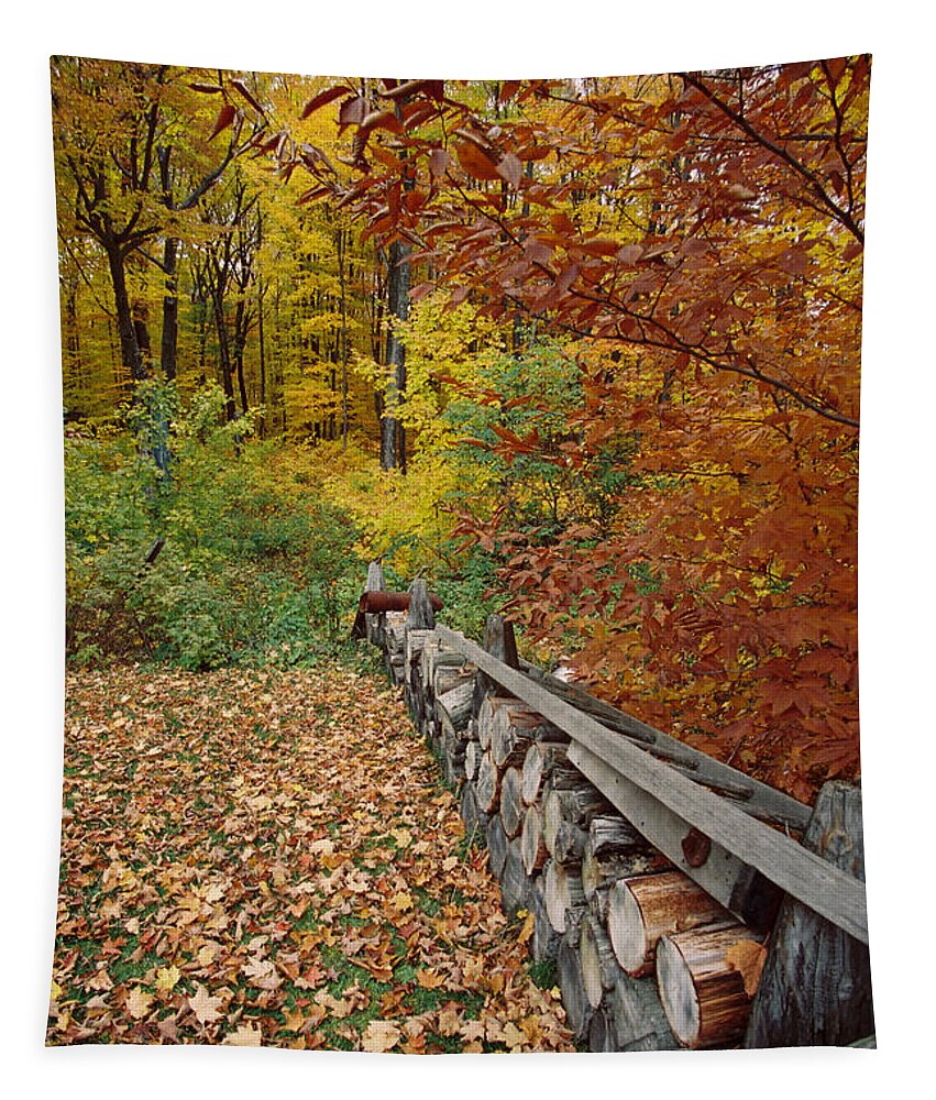 Wood Tapestry featuring the photograph Wood Pile In Autumn by Ron Weathers