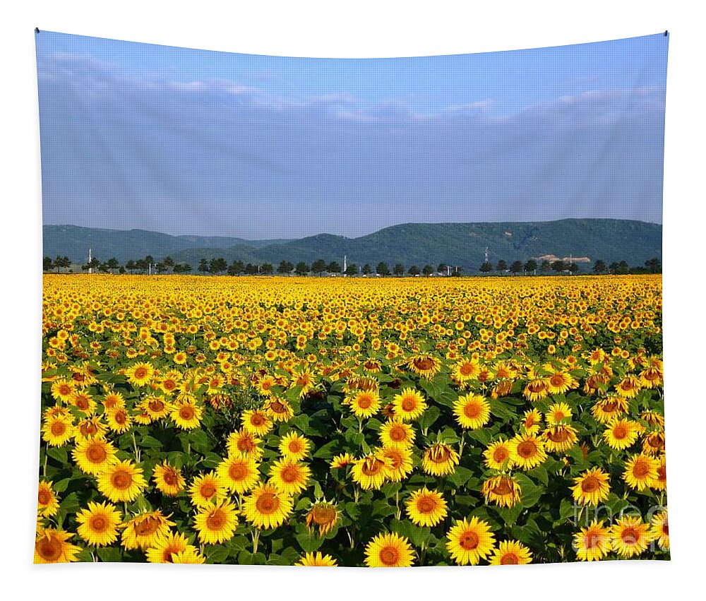 Sunflower Tapestry featuring the photograph World of Sunflowers by Amalia Suruceanu