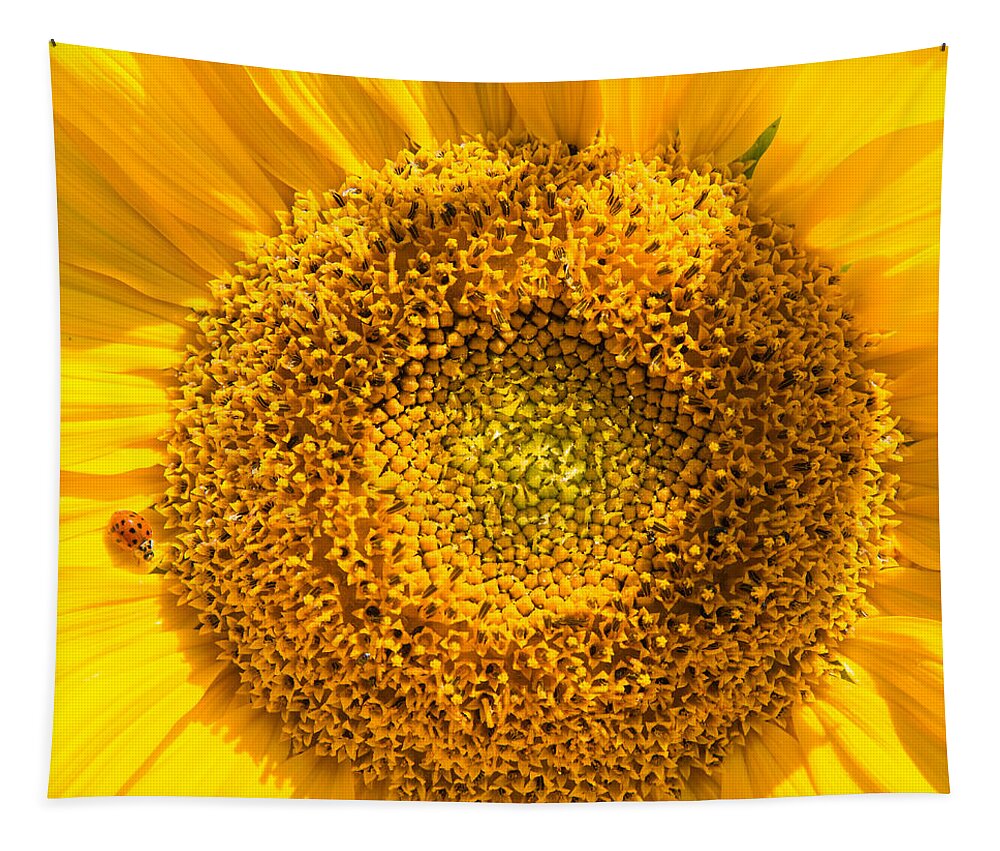 Sunflower Tapestry featuring the photograph Yellow sunflower with ladybug - square format by Matthias Hauser