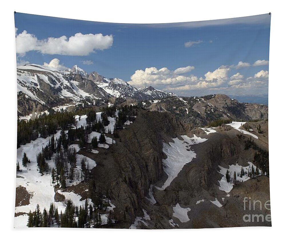 Rendezvous Mountain Tapestry featuring the photograph You Can See For Miles by Living Color Photography Lorraine Lynch