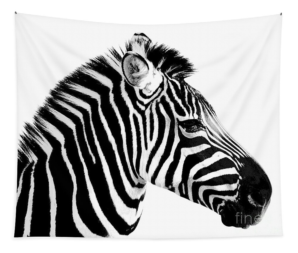 Zebra Tapestry featuring the photograph Zebra by Rebecca Margraf