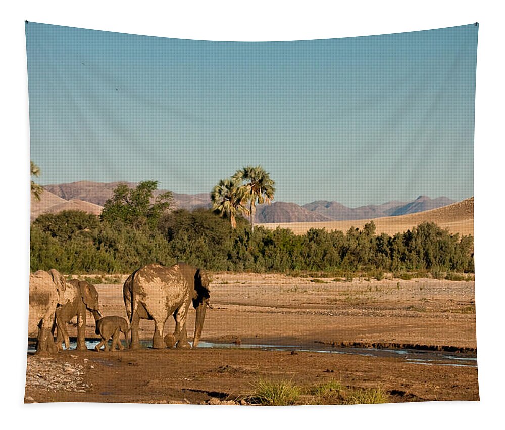 Africa Tapestry featuring the photograph A family heads home by Sylvia J Zarco