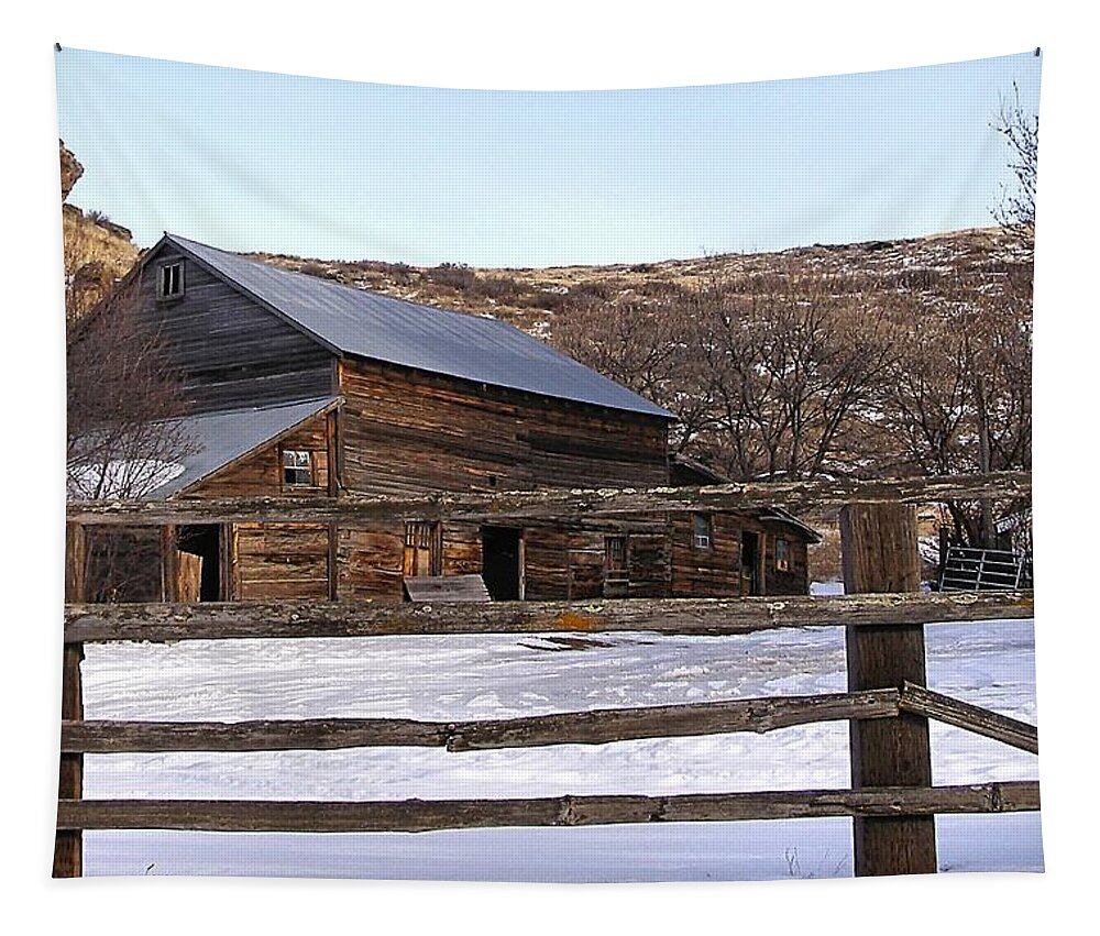 Barns Tapestry featuring the photograph Country Barn by Susan Kinney