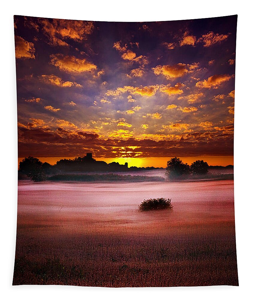 Horizons Tapestry featuring the photograph Quiescent by Phil Koch