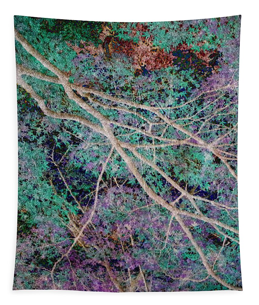 Forest Tapestry featuring the photograph A Forest of Magic #1 by Eena Bo