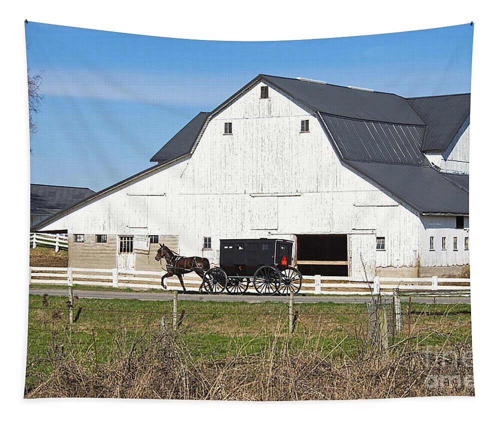 Amish Tapestry featuring the photograph Amish Buggy and White Barn #1 by David Arment