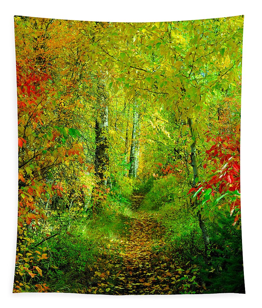 Autumn Tapestry featuring the photograph An Autumn path #2 by Jeff Swan