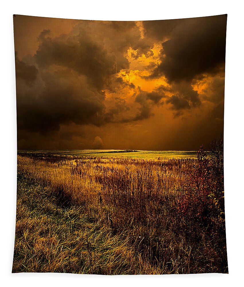 Horizons Tapestry featuring the photograph An Autumn Storm #1 by Phil Koch