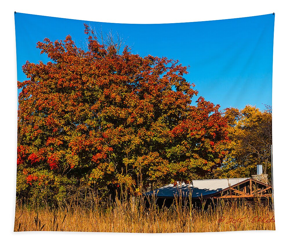 Fall Tapestry featuring the photograph Autumn Red #1 by Ed Peterson