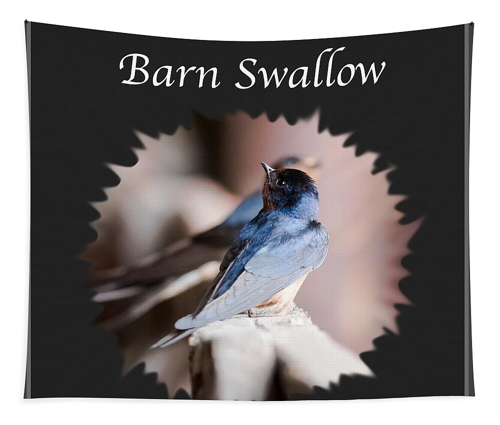 Barn Swallow Tapestry featuring the photograph Barn Swallow by Holden The Moment