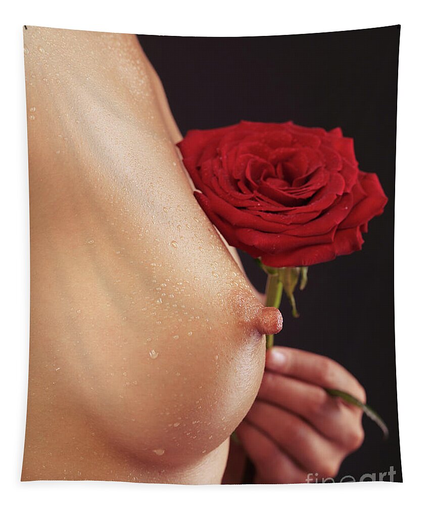 Breast Tapestry featuring the photograph Beautiful Woman Breast and a Red Rose #1 by Maxim Images Exquisite Prints
