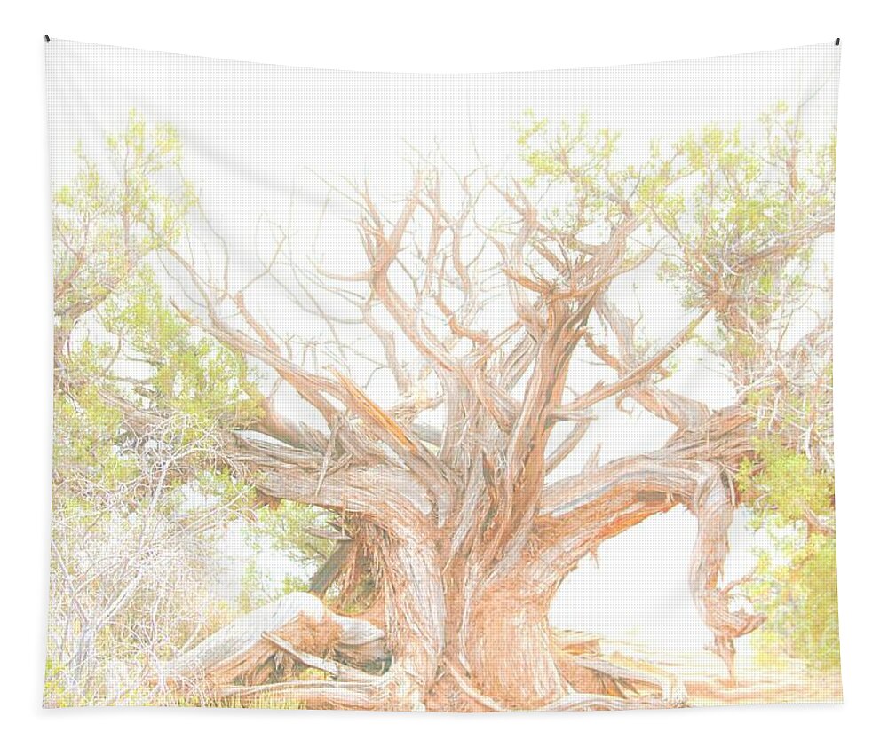 Arches National Park Tapestry featuring the photograph Been Around by Merle Grenz