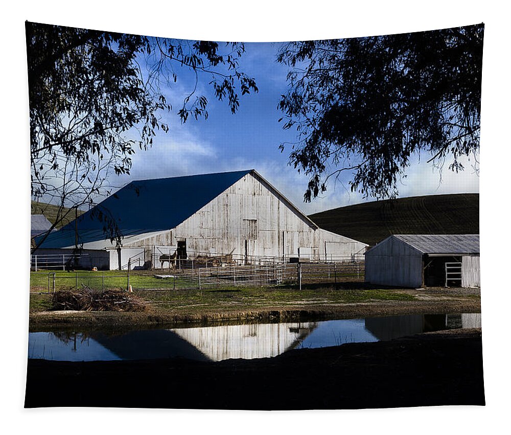 Birds Landing Tapestry featuring the photograph Birds Landing Barn #1 by Bruce Bottomley