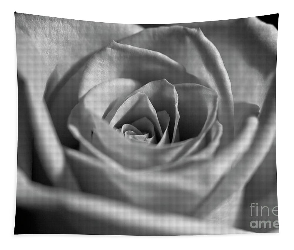 White Rose Tapestry featuring the photograph Black and White Rose #1 by Micah May