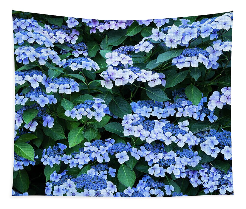 Theresa Tahara Tapestry featuring the photograph Miksang 12 Blue Hydrangea by Theresa Tahara