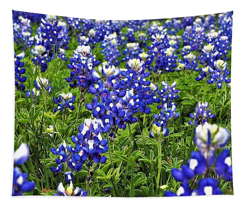 Blue Bonnets Tapestry featuring the photograph Blue #1 by Jerry Connally