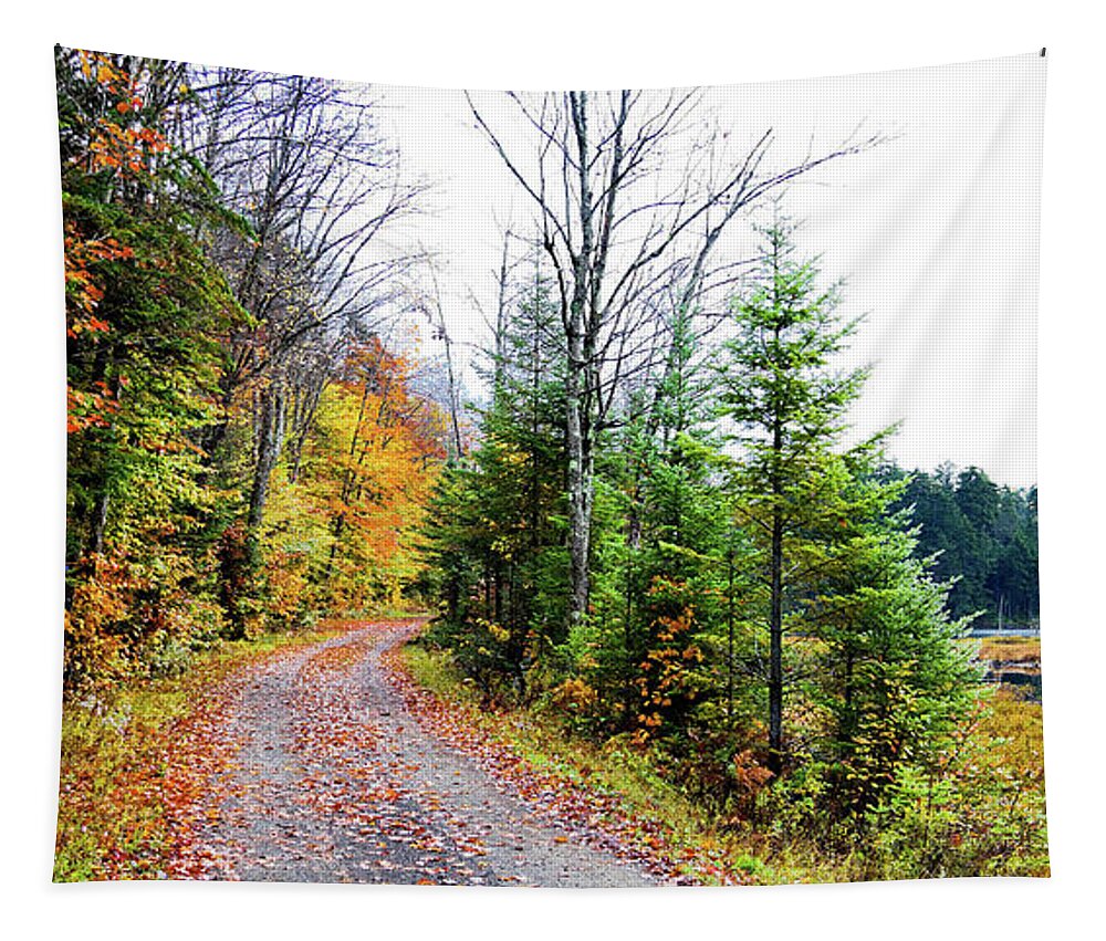 Landscapes Tapestry featuring the photograph Cary Lake Panorama #1 by David Patterson