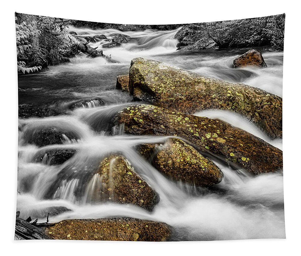 Rocky Tapestry featuring the photograph Cascading Water and Rocky Mountain Rocks #1 by James BO Insogna