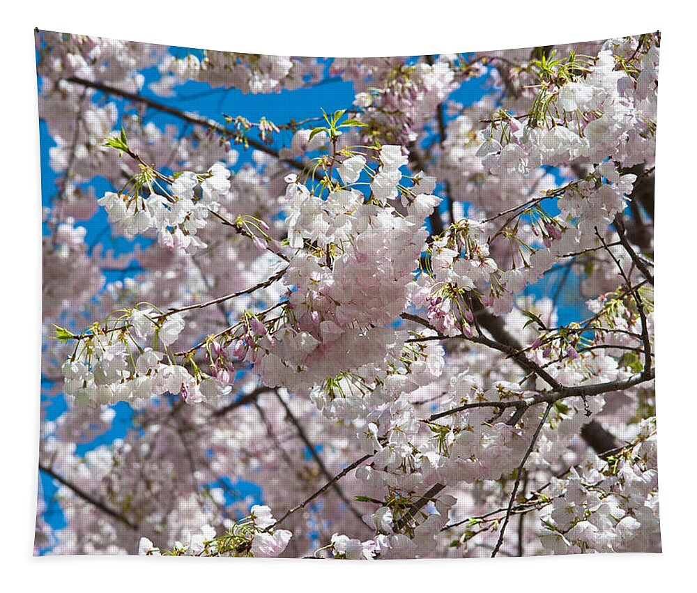Cherry Blossom Tapestry featuring the photograph Cherry Blossom #1 by Sebastian Musial