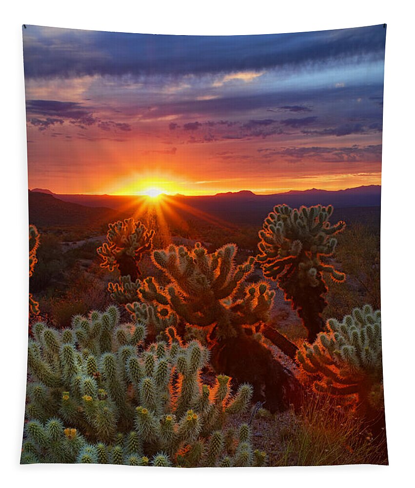 Sunset Tapestry featuring the photograph Cholla Sunset #1 by Saija Lehtonen