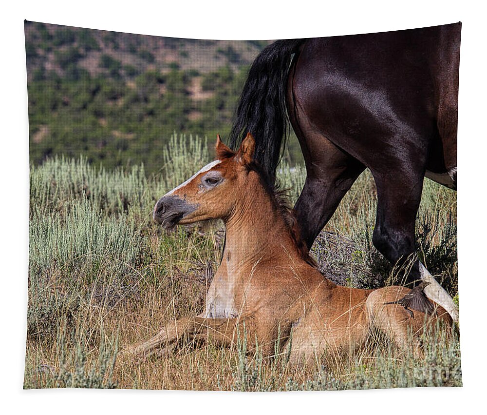 Foal Tapestry featuring the photograph Coming Through #3 by Jim Garrison