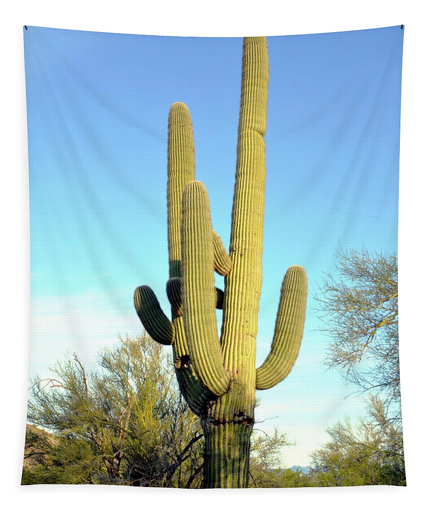 Barbara Snyder Tapestry featuring the photograph Desert Giant #1 by Barbara Snyder
