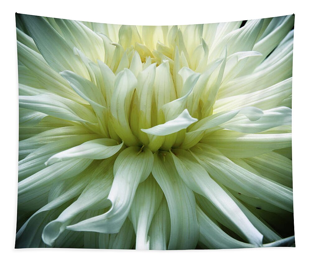 Dahlia Tapestry featuring the photograph Divine Dahlia by Jessica Jenney