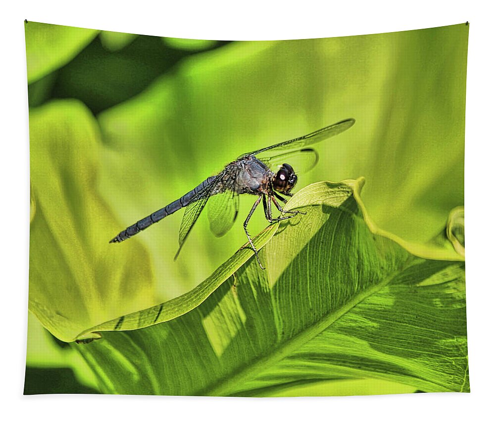 Dragon Fly Tapestry featuring the photograph Dragonfly #2 by Pat Cook