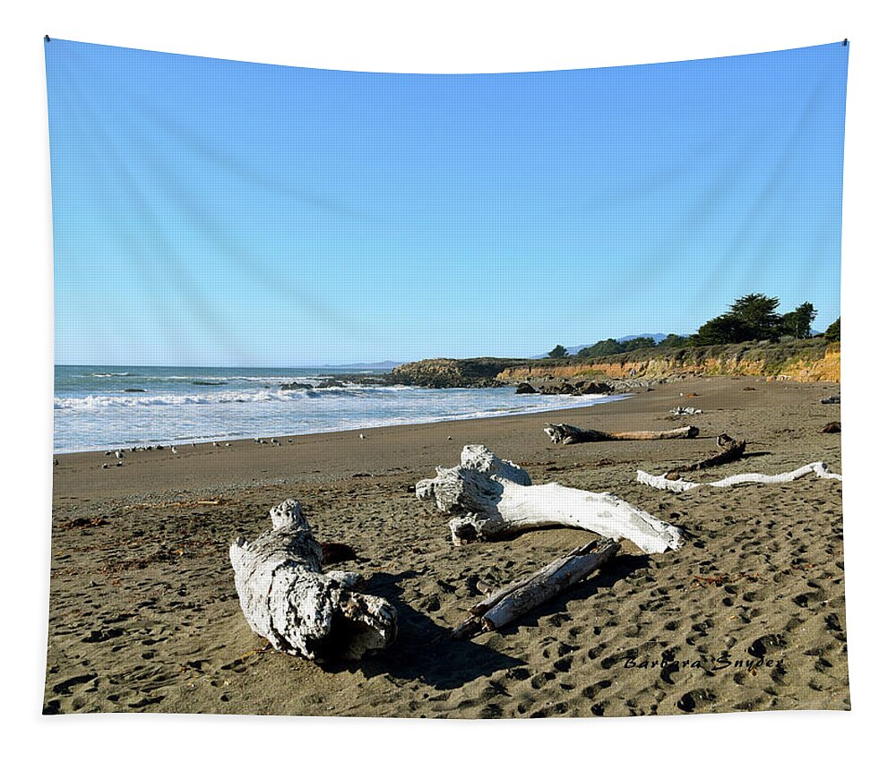 Driftwood On Moonstone Beach Tapestry featuring the photograph Driftwood on Moonstone Beach #1 by Barbara Snyder