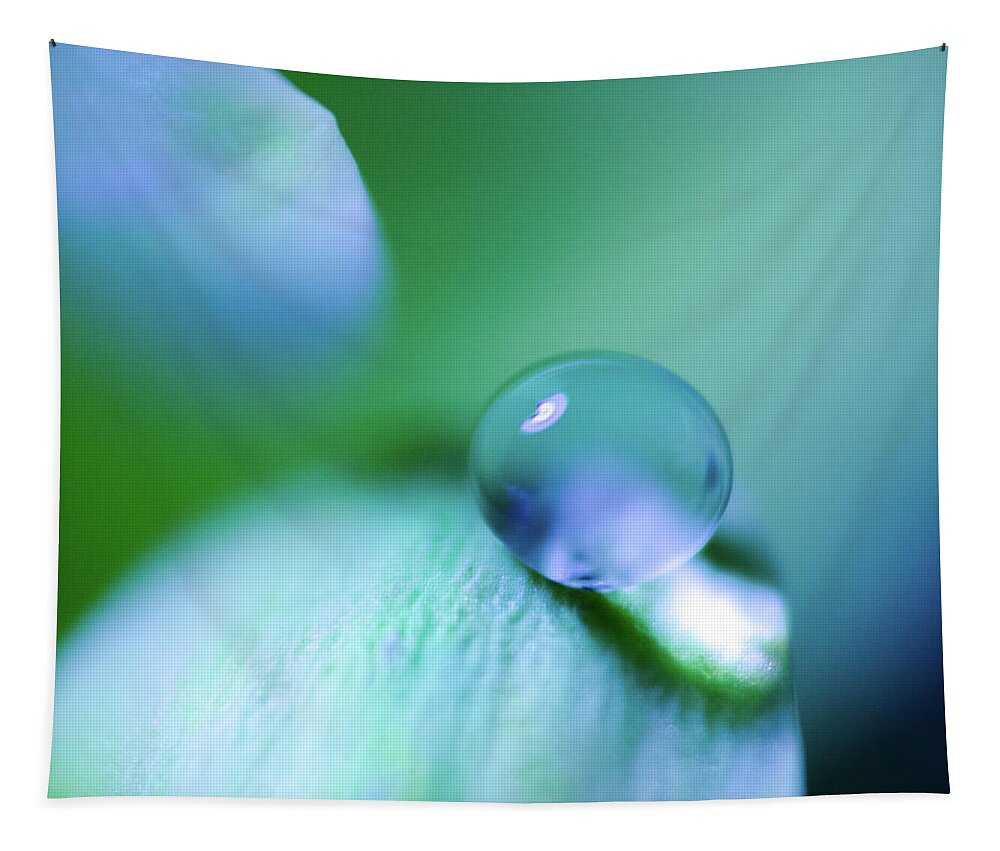 Bokeh Tapestry featuring the photograph Dropped #1 by Sandra Parlow
