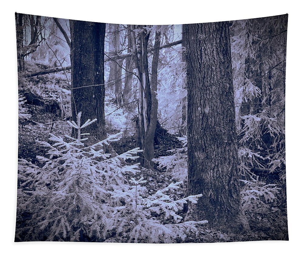 Jouko Lehto Tapestry featuring the photograph Fairy forest. Infrared by Jouko Lehto