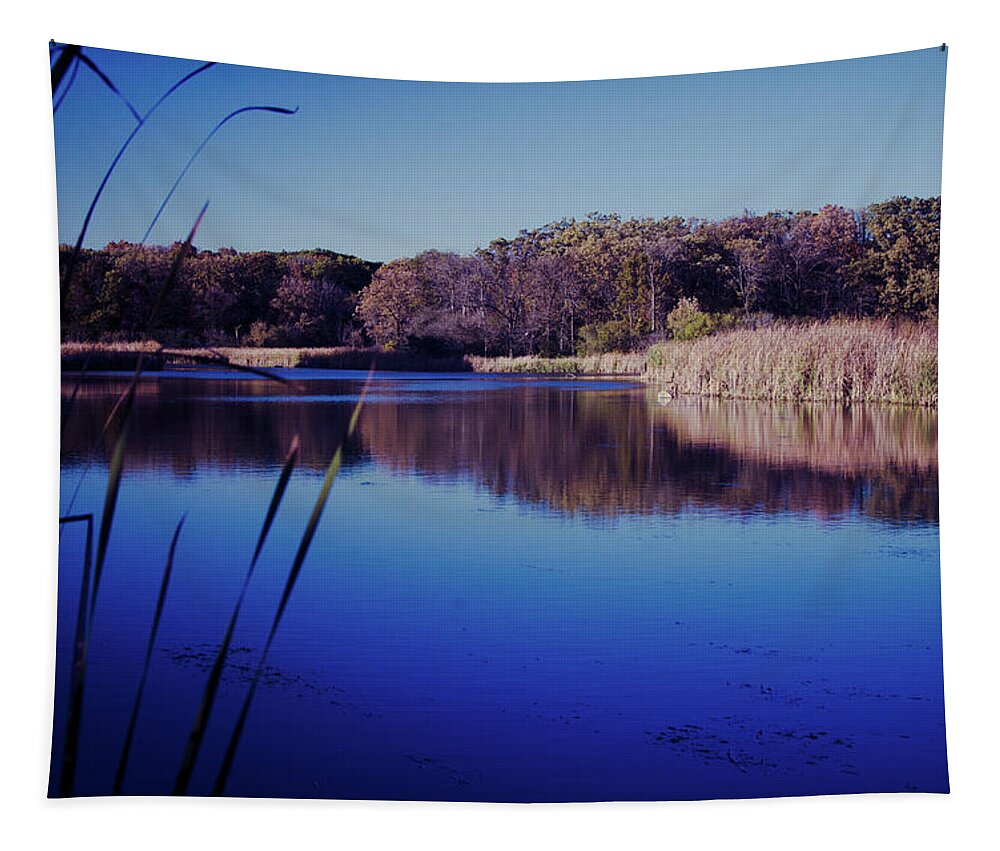 Winterpacht Tapestry featuring the photograph Feeling Blue #1 by Miguel Winterpacht