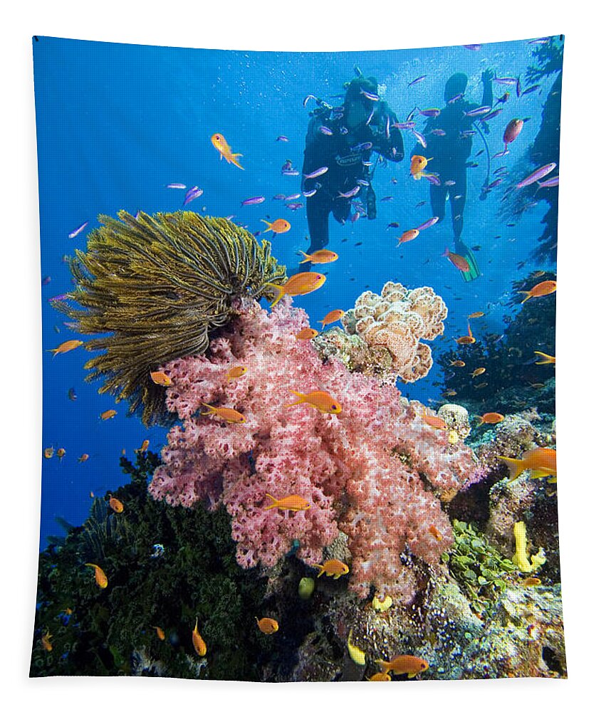 Alcyonarian Tapestry featuring the photograph Fiji Underwater #1 by Dave Fleetham - Printscapes
