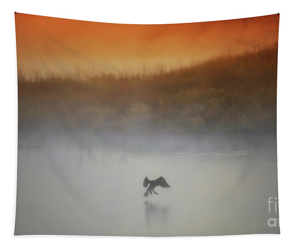 Lake Tapestry featuring the photograph Foggy Landing #1 by Elizabeth Winter