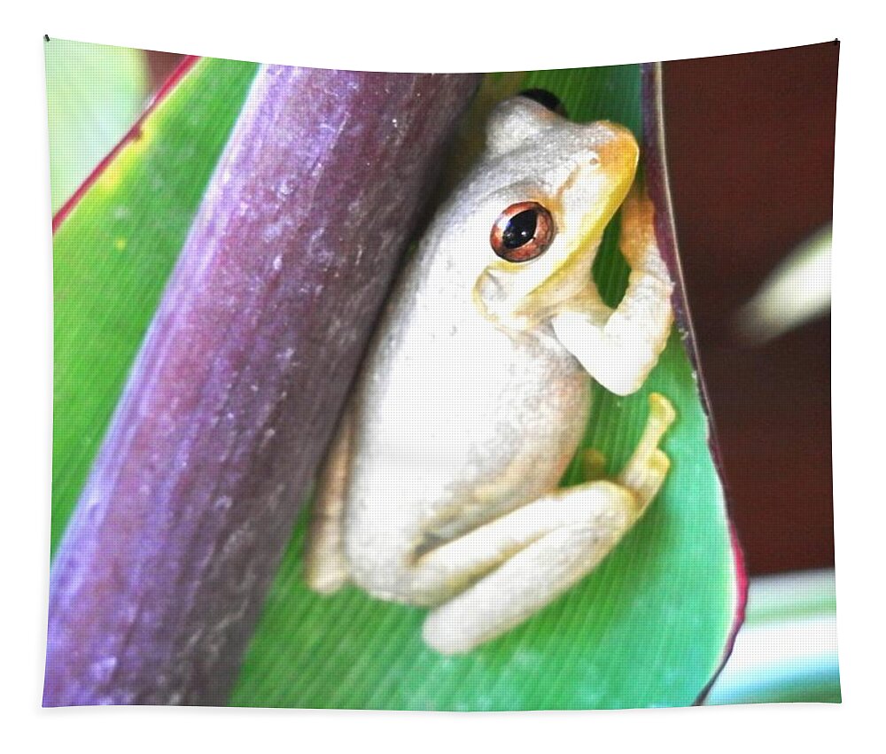 Lounging On A Green Leaf Resting Up For The Night Hunt To Come Tapestry featuring the photograph Freddie the Frog #1 by Belinda Lee