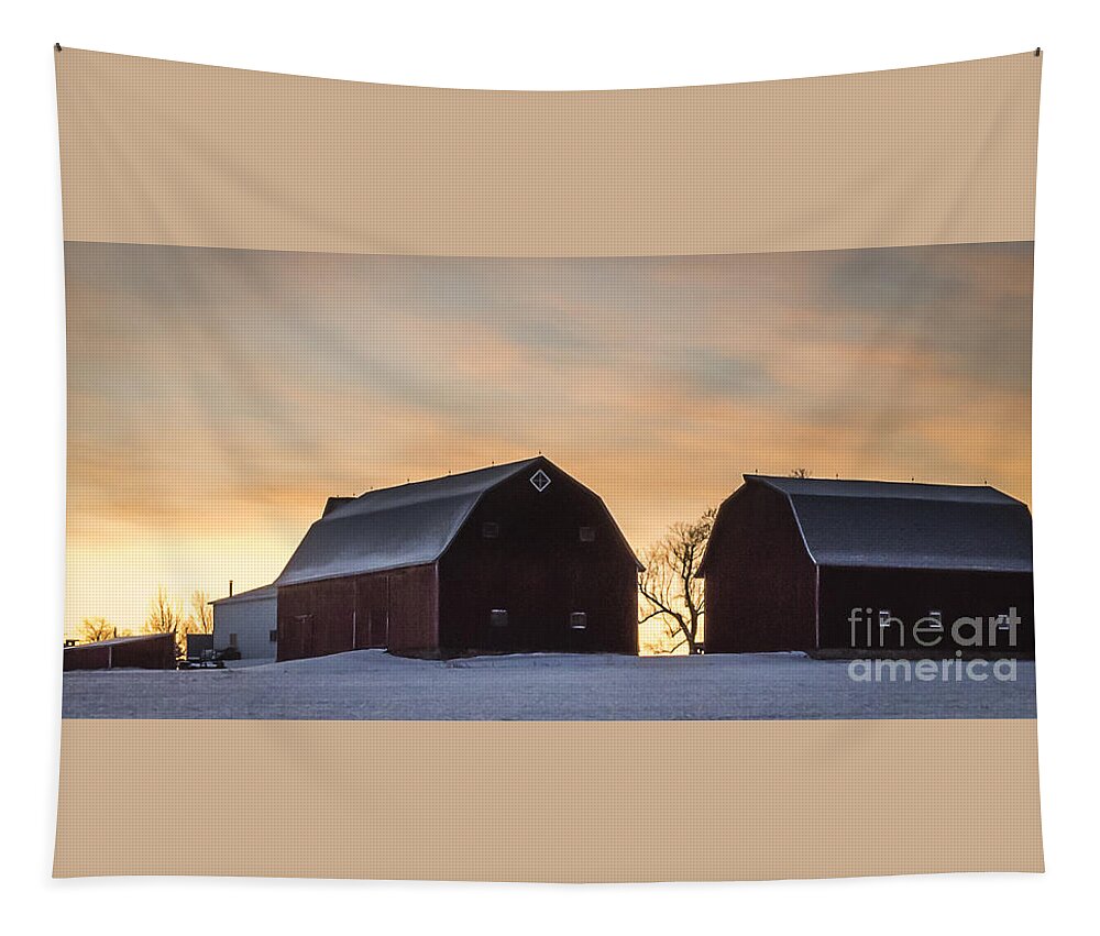 Barn Tapestry featuring the photograph Good Morning #1 by Joann Long
