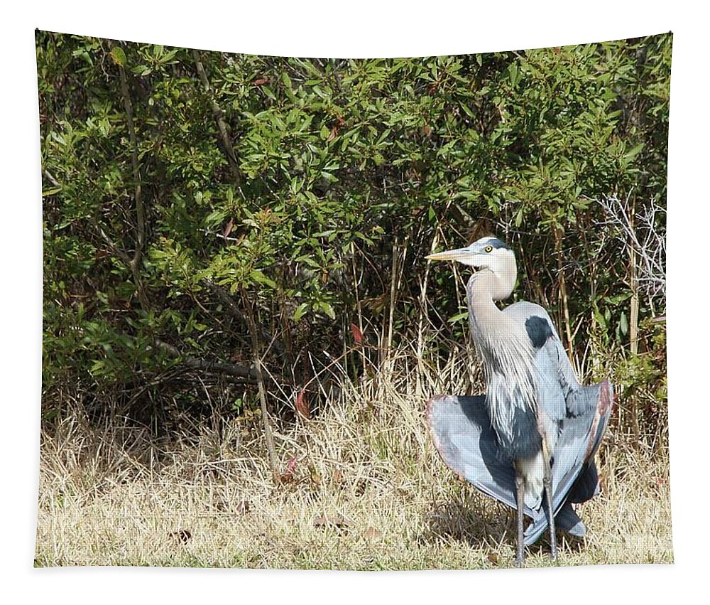 Heron Tapestry featuring the photograph Henry the Heron #1 by Benanne Stiens