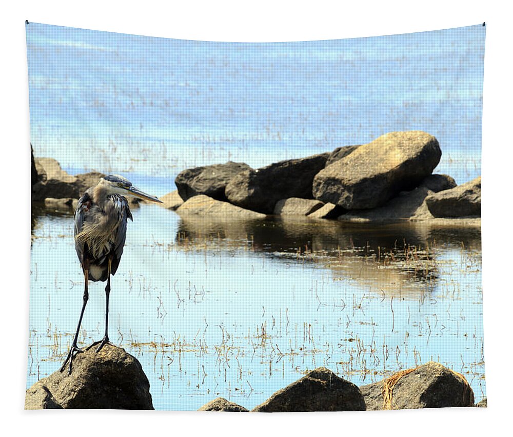 Alert Tapestry featuring the photograph Heron on the Rocks #2 by Travis Rogers