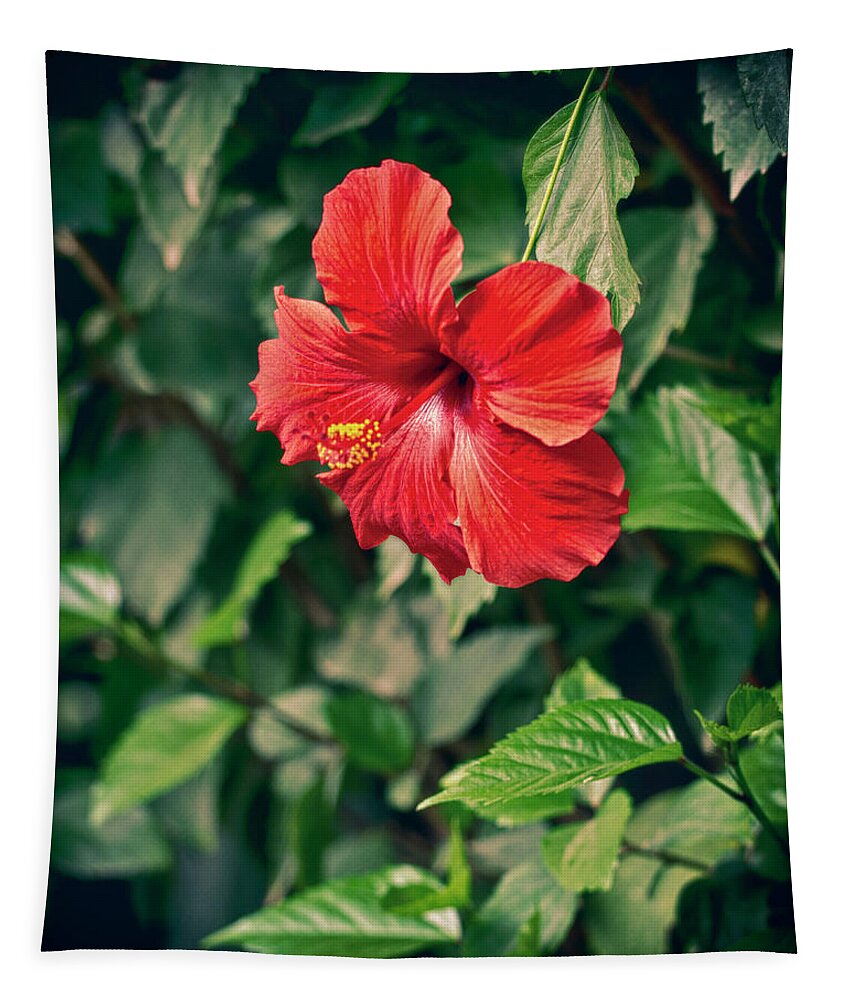 Flower Tapestry featuring the photograph Hibiscus by Lawrence Knutsson