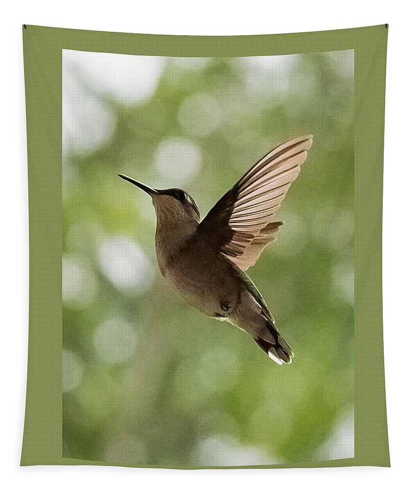 Hummingbird Tapestry featuring the photograph Hummingbird #1 by Holden The Moment