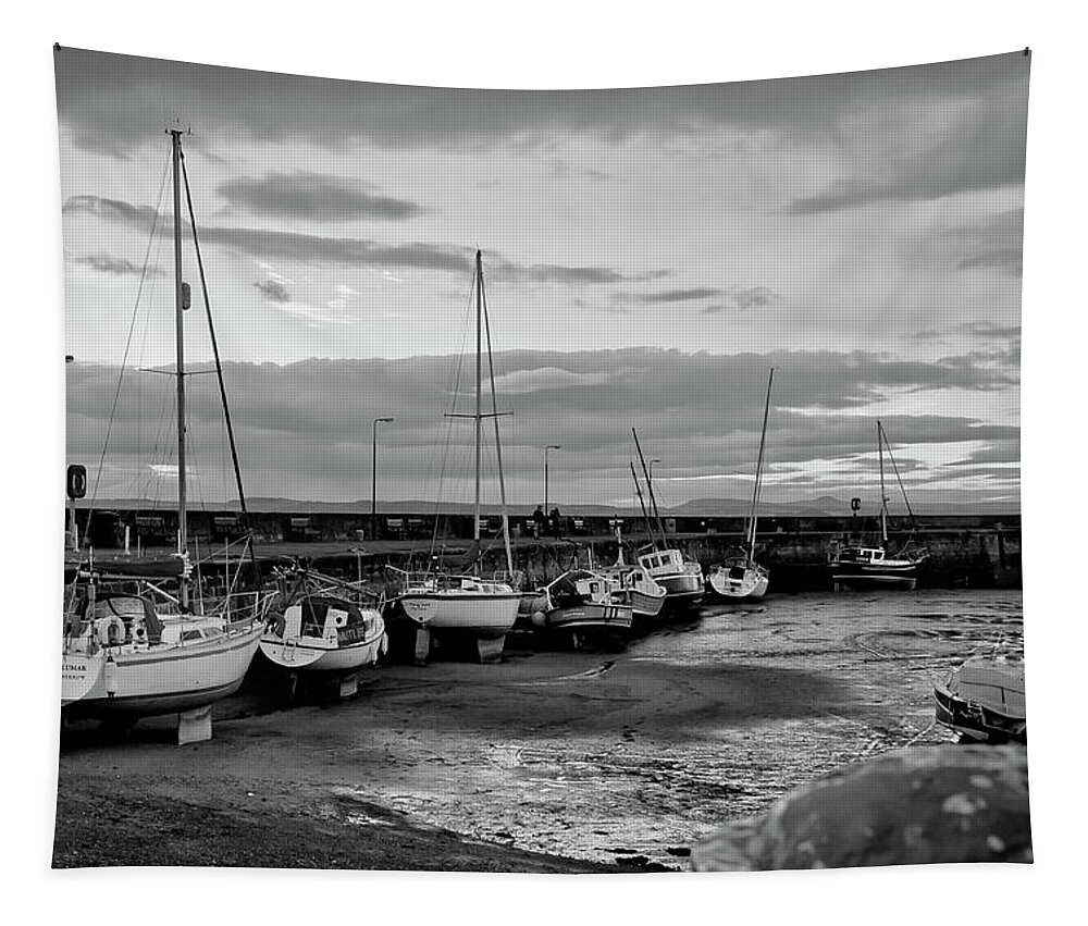 Black And White Tapestry featuring the photograph In the dusk. #1 by Elena Perelman