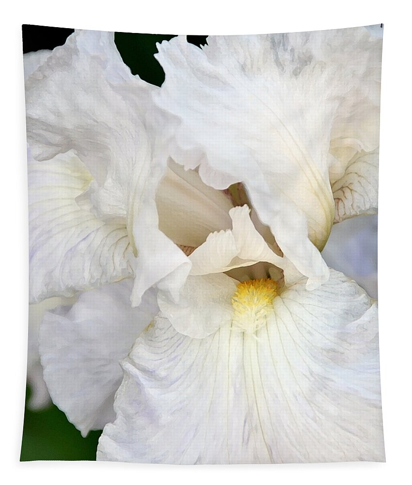 Iris Tapestry featuring the photograph Iris Innocence #1 by Angelina Tamez