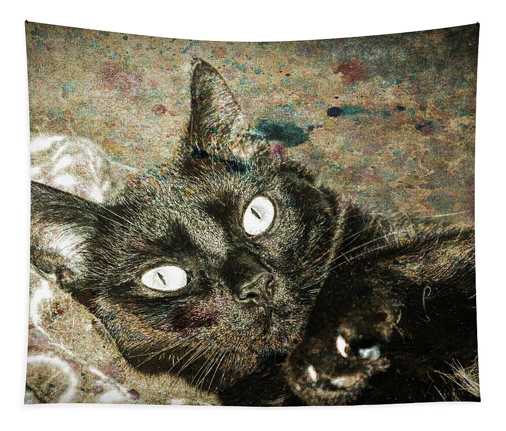 Cat Tapestry featuring the photograph Junior #1 by David Yocum